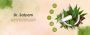 Top Ayurveda Yoga Clinic Singapore Top Ayurveda Yoga Clinic Singapore