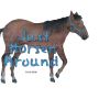 Just Horsen' Around Just Horsen' Around