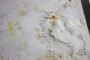 Swift and Reliable Mold Removal Service