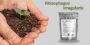 Rhizophagus Irregularis 250g Pack: Boost Your Garden Today!