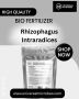 Rhizophagus Intraradices for Sale – Trusted by Experts