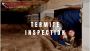 Termite Protection of Your Home with The Best Termite Compan