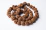 Premium Rudraksha Beads Service – 100% Original Beads!