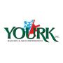 UK education Consultants Delhi
