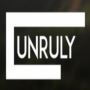 Unruly Agency lawsuit