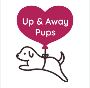 Miniature and Teacup Puppies for Sale at Up & Away Pups
