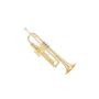 Musical Instruments with Frets – UpBeat Music