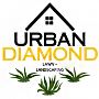 Urban Diamond Lawn