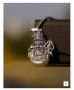 Lord Mahadev Premium Pendant Chain