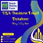 Expand Your Market Reach with a Reliable USA Business Email 