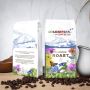 Roasted Coffee Beans › 100% Arabica Colombian Beans