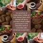 Premium Roasted Coffee Beans | Colombian Coffee