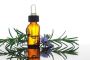 Botanical Extracts - US Specialty Formulations