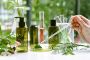 Premium Botanical Extracts for Health & Wellness | US Specia