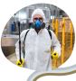 Hire Pest Control Services in Jaipur