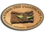 Tree Removal Minneapolis