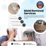 Mold removal companies Durham