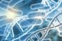 How Long Does it Take Probiotic to Work