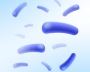 Various kinds of probiotics Stains forms