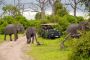 Explore the Best Uganda Gorilla Safari Packages Explore the Best Uganda Gorilla Safari Packages