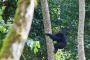 Uganda Adventure Tours with Valiant Safaris – Explore the Be