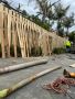 Treated Pine Fencing Experts in Melbourne