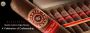 Rocky Patel Quarter Century Cigar Review: A Celebration of C