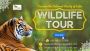 Rajasthan Wildlife Safaris: Experience the Wild