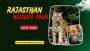 Rajasthan's Majestic Wildlife Rajasthan's Majestic Wildlife