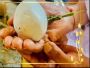 Book Kannada Pandit For Pind Daan in Gaya and Varanasi - Ved