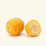 Buy Marula Oil Online At Best Price | Bulk Manufacturer Of M