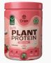 Vegan Protein Powder