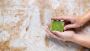 Why You Need a Detan Soap Bar in Your Summer Skincare Routin