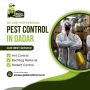 Best Pest Control Service in Dadar - Venus Pest Control