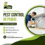Best Pest Control Service in Powai - Venus Pest Control