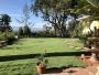 Premium Artificial Grass Solutions in San Jose – Verdigrass