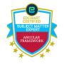 Angular Framework Developer SME