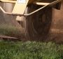 Professional Tree Stump Removal Services in Montgomery Count