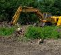 Local Lot Clearing and Tree Removal Specialists in DC