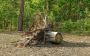 Expert Tree Stump Removal in Maryland for All Property Sizes