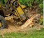 Expert Tree Stump Removal in Maryland