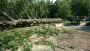 Top Tree Crane Service in Laurel – Expert Tree Removal