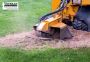 Safe & Affordable Tree Trimming MD