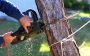 Emergency Tree Removal Maryland – Veteran-Owned Excellence