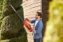 Affordable Tree Cutting Service with 400+ 5-Star Reviews
