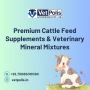 Enhance Milk Production with Vetpolis Cattle Feed Supplement