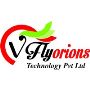 BPO Voice and Non-Voice Service Provider | Vflyorions