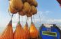 Third Party Certification: The Lifeline for Marine Operation