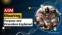 AGM Compliance Simplified for All Companies