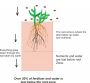 Looking For Sustainable Soil Management